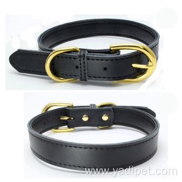 Leather dog collar with gold buckle collar